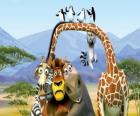 Gloria Hippo Melman zürafa, aslan Alex, Marty maceralarını diğer kahramanları ile zebra